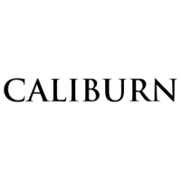 Caliburn Steeldarts